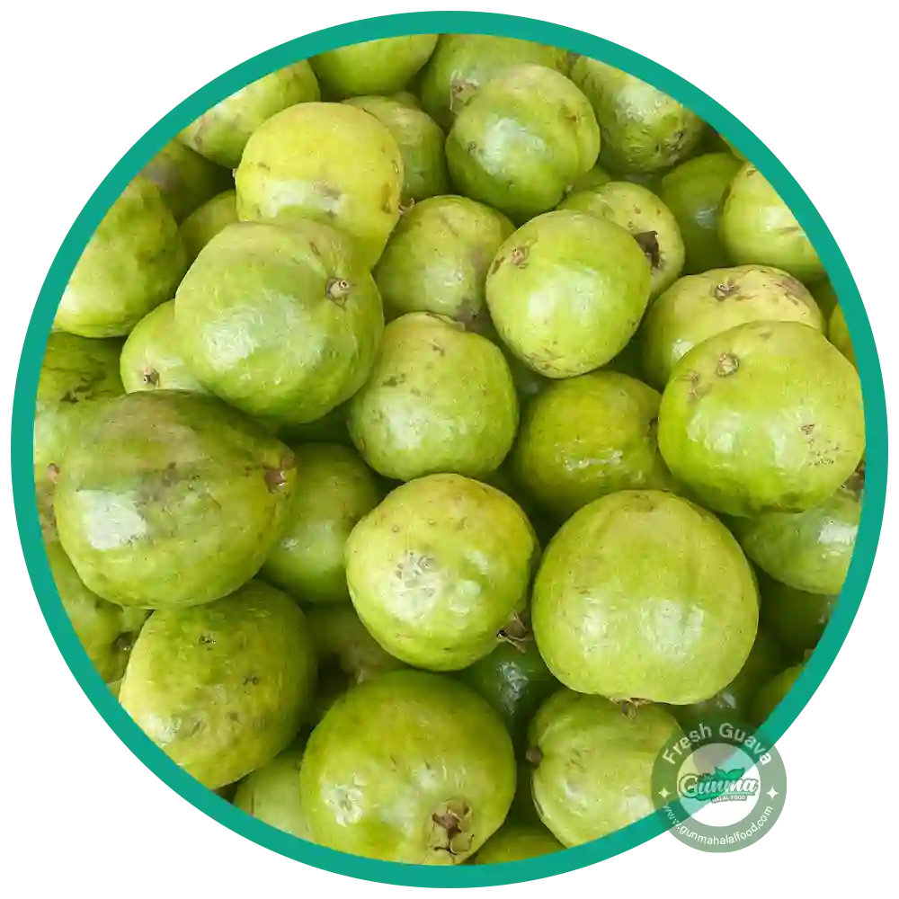 Buy Fresh Guava 1kg (±50g, 3–4pcs) in Japan | 新鮮なグアバ