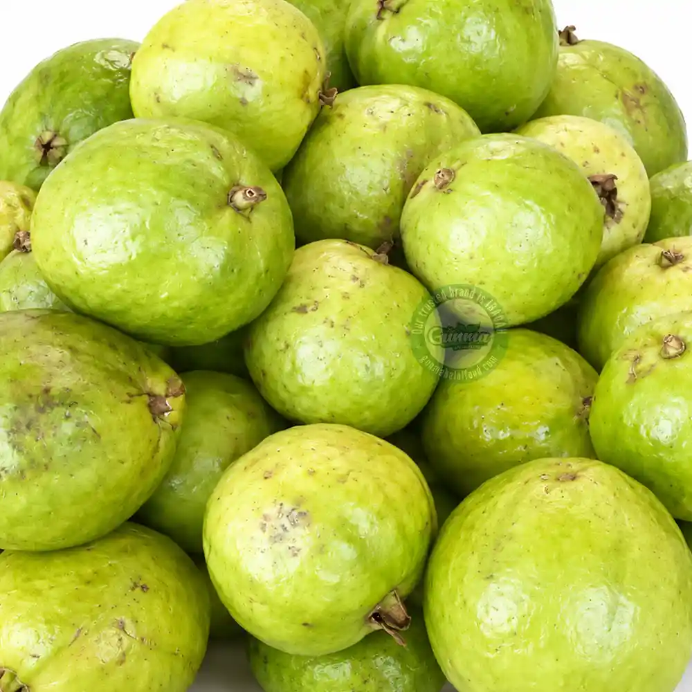 新鮮グアバ 12kg Buy Fresh Guava 1kg (±50g, 3–4pcs) in Japan | 新鮮なグアバ
